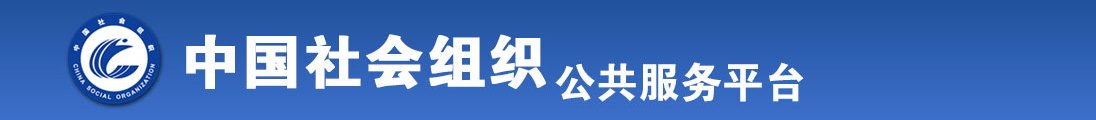 欧美美女美逼全国社会组织信息查询